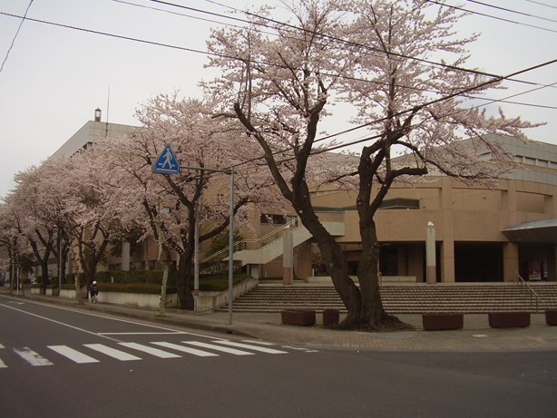 towadasougoutaiikusenta_1